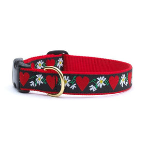 Hearts and Flowers Teacup Collar and Lead Set